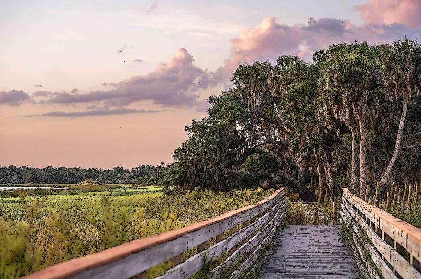 Myakka River State Park