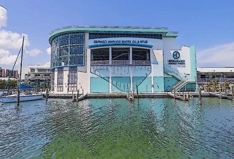Clearwater Marine Aquarium