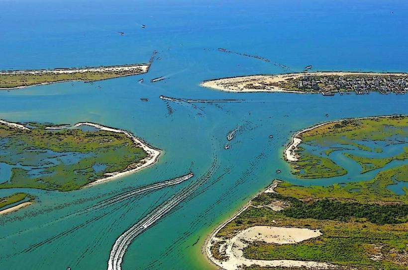 Masonboro Island Reserve