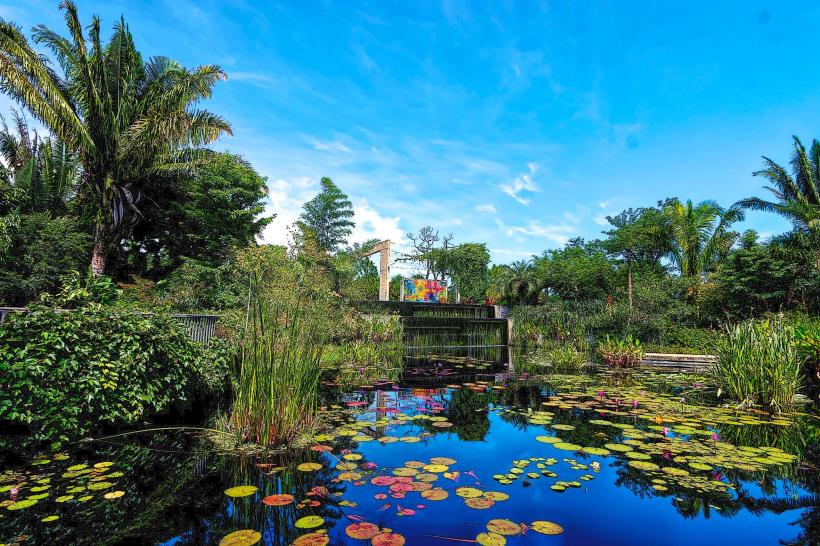 Naples Botanical Garden