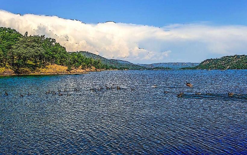 Folsom Lake State Recreation Area