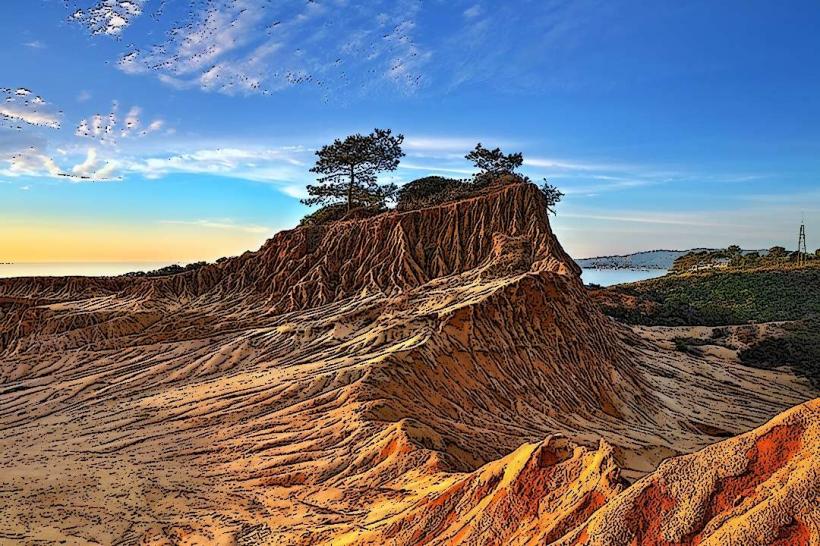 Torrey Pines State Reserve