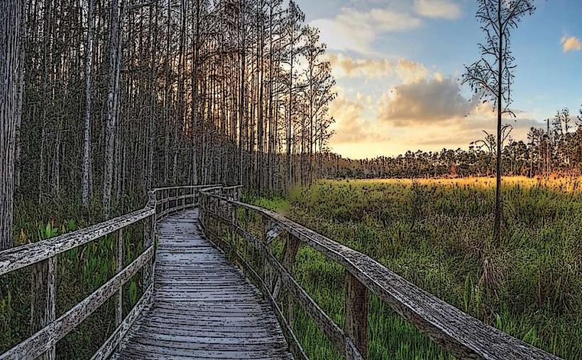 Corkscrew Swamp Sanctuary