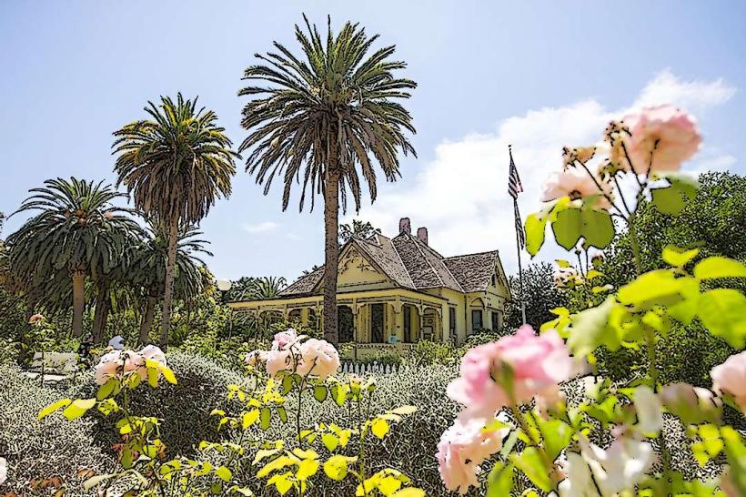 Fullerton Arboretum