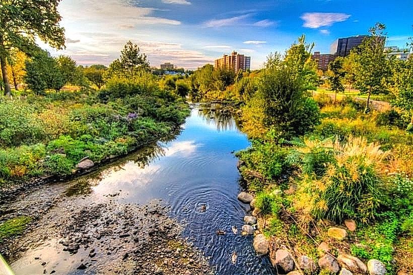 Mill River Park