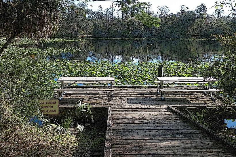 Al Lopez Park