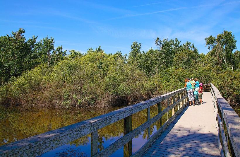 Boyd Hill Nature Preserve