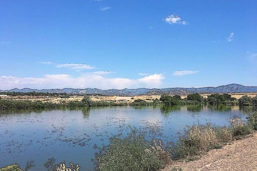 Chatfield State Park