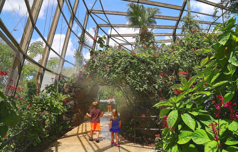 Butterfly World