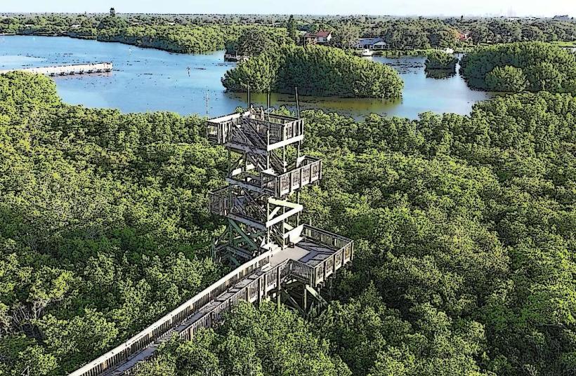 Weedon Island Preserve