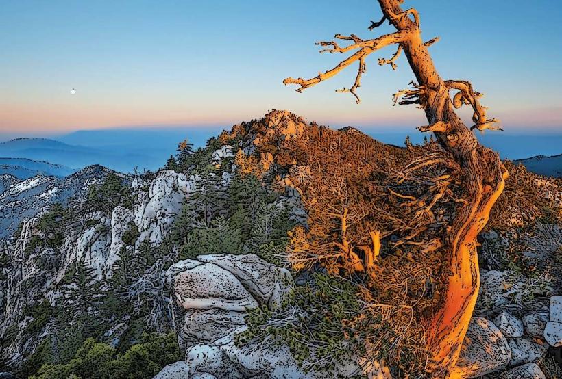 San Jacinto Mountain