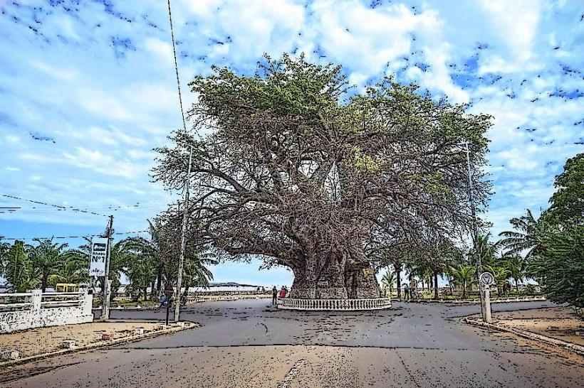 Baobab Alley of Mahajanga