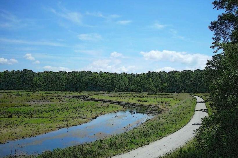 Sandy Bottom Nature Park