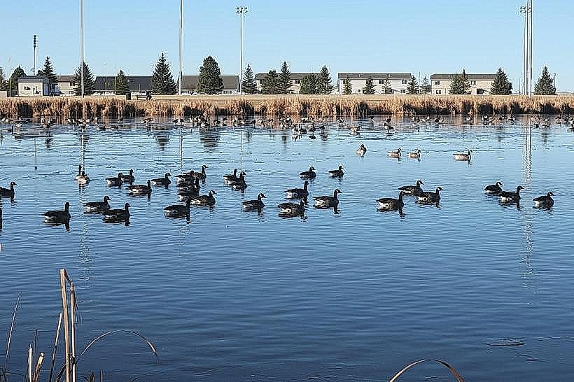 Dalbey Memorial Park