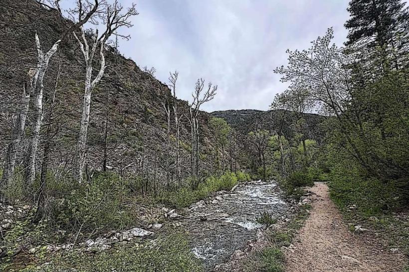 Grizzly Creek Trail