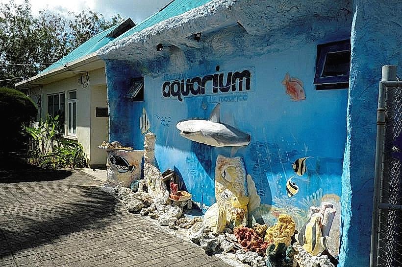 Mauritius Aquarium