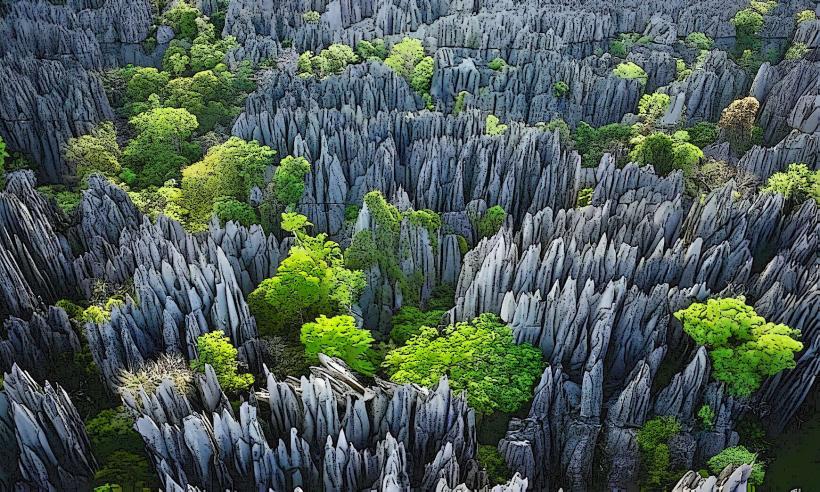 Tsingy de Bemaraha