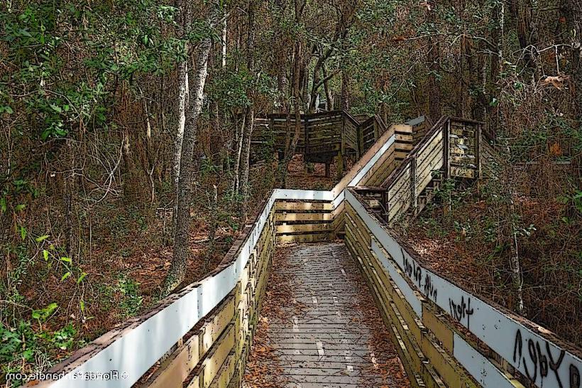 Bay Bluffs Park