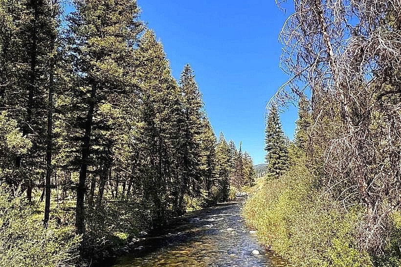 Swift Creek Trail