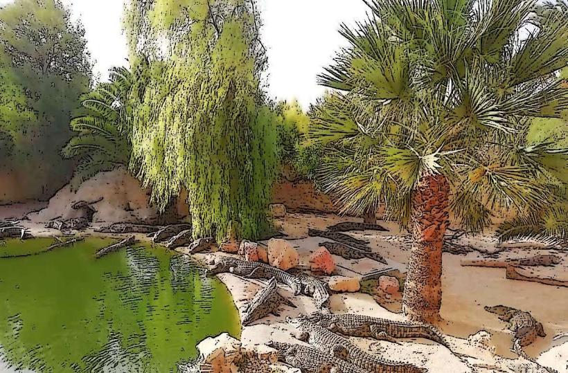 Djerba Explore Park