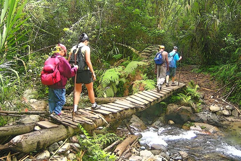 Pico Duarte Trekking