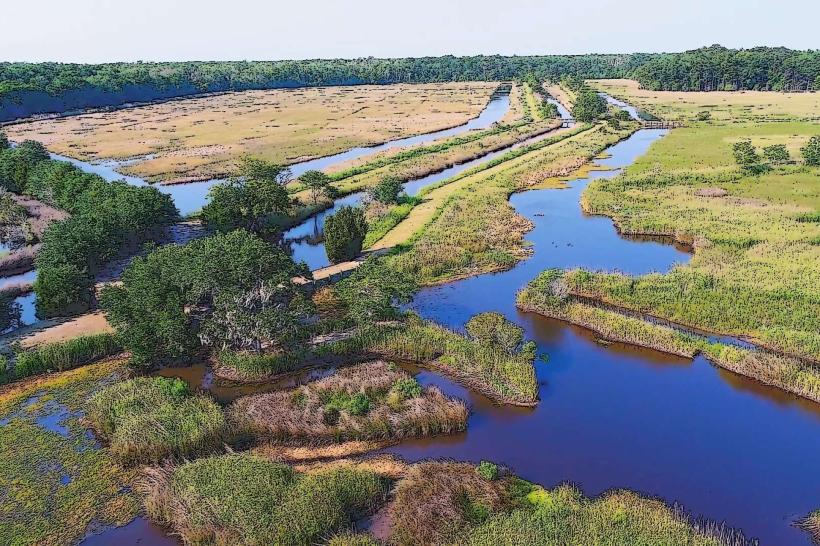 Caw Caw Interpretive Center