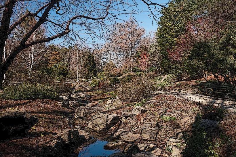 Rock Garden на Нюйоркската ботаническа градина NYBG е една от