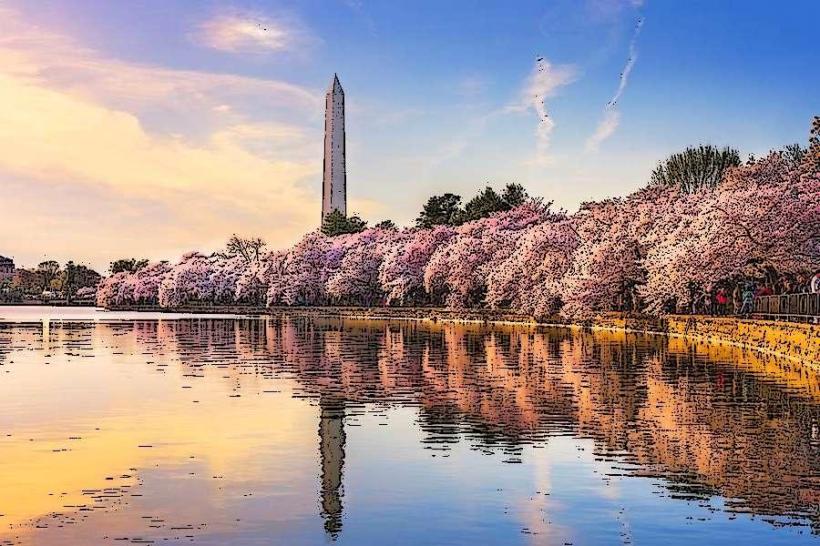 Tidal Basin