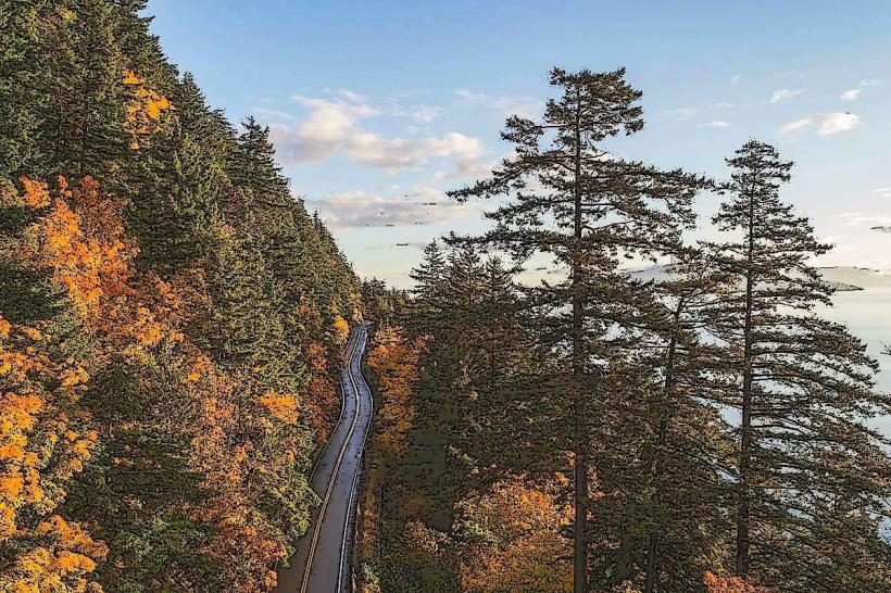 Chuckanut Drive