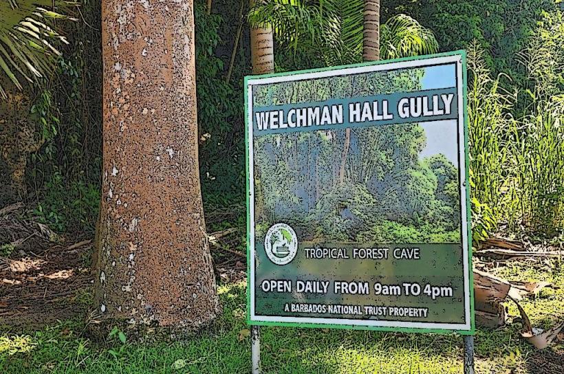 Welchman Hall Gully