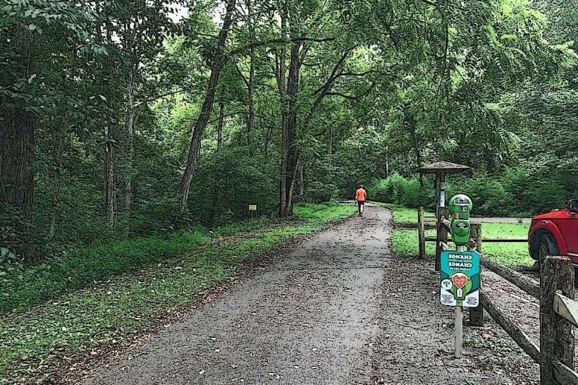 Blackwater Creek Trail