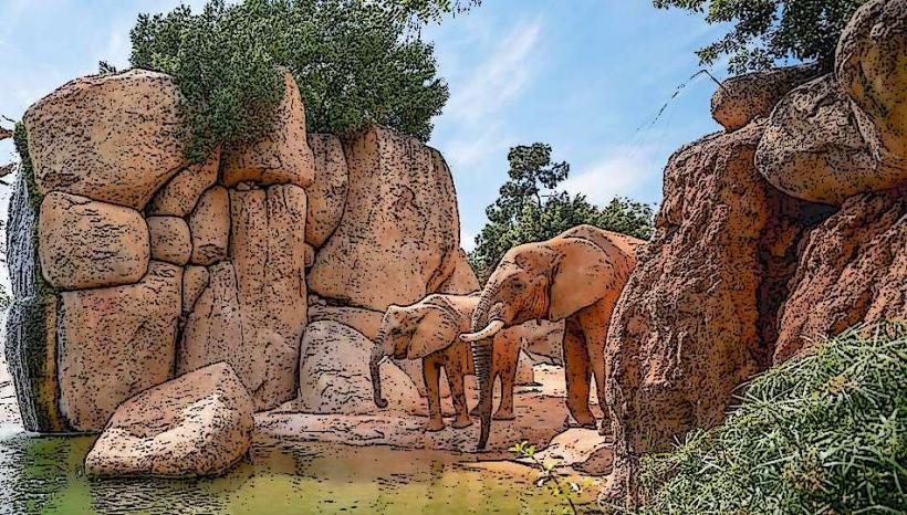 Bioparc Valencia