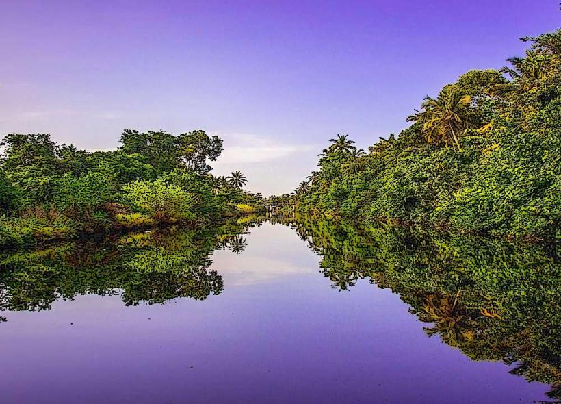 Muthurajawela Marsh