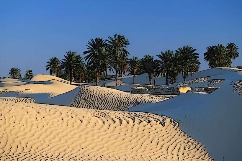 Kebili Oasis