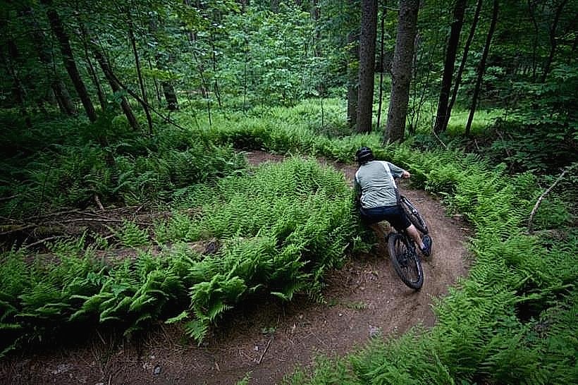 Cady Hill Forest Trails