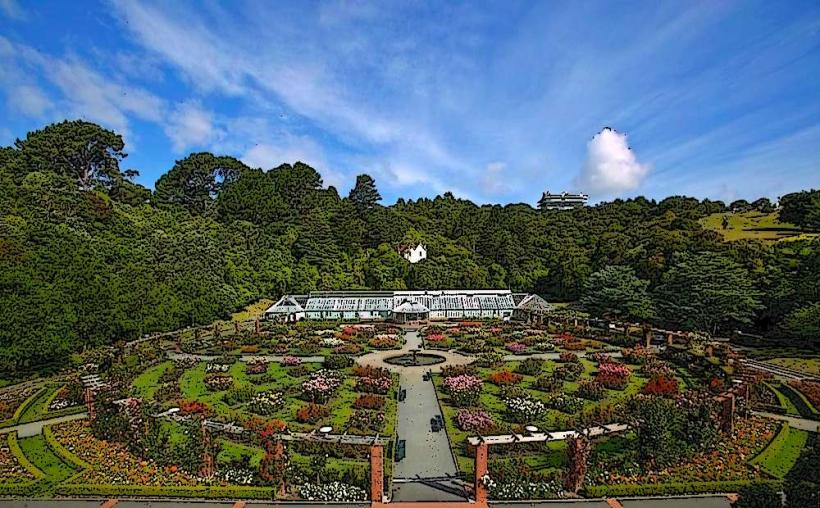 Wellington Botanic Garden