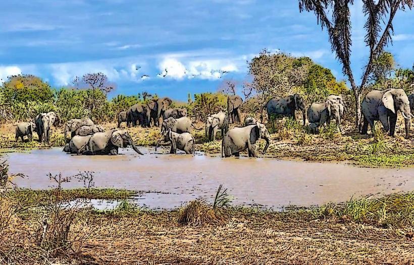 Parc national de Saadani