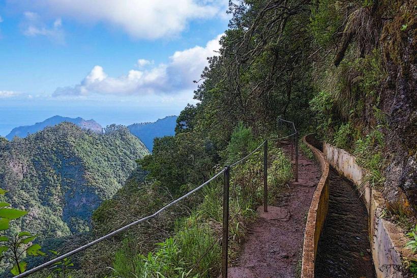 Levada Walks