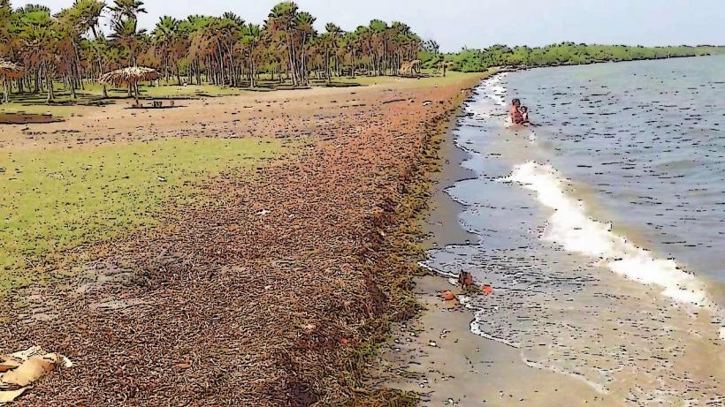 Playa Bibijagua