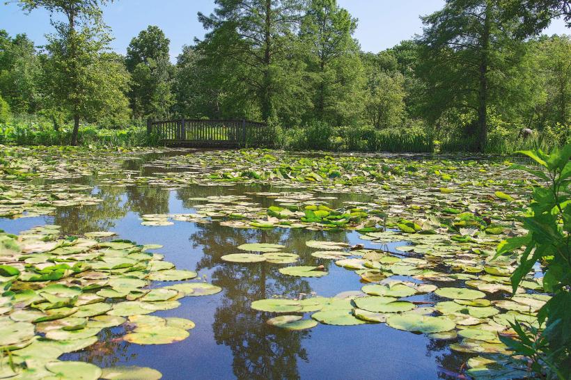 Kenilworth Aquatic Gardens