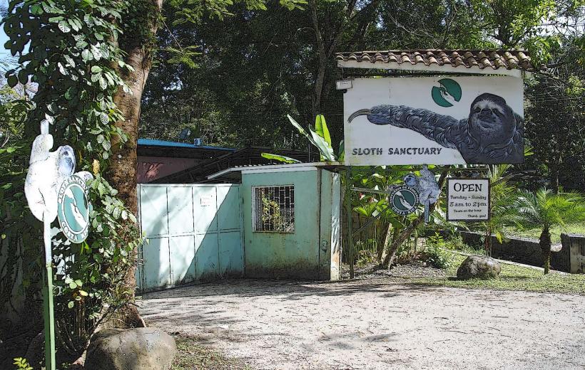 Sloth Sanctuary of Costa Rica