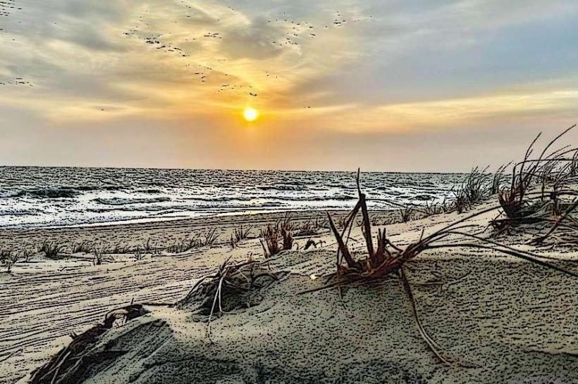 Assateague State Park