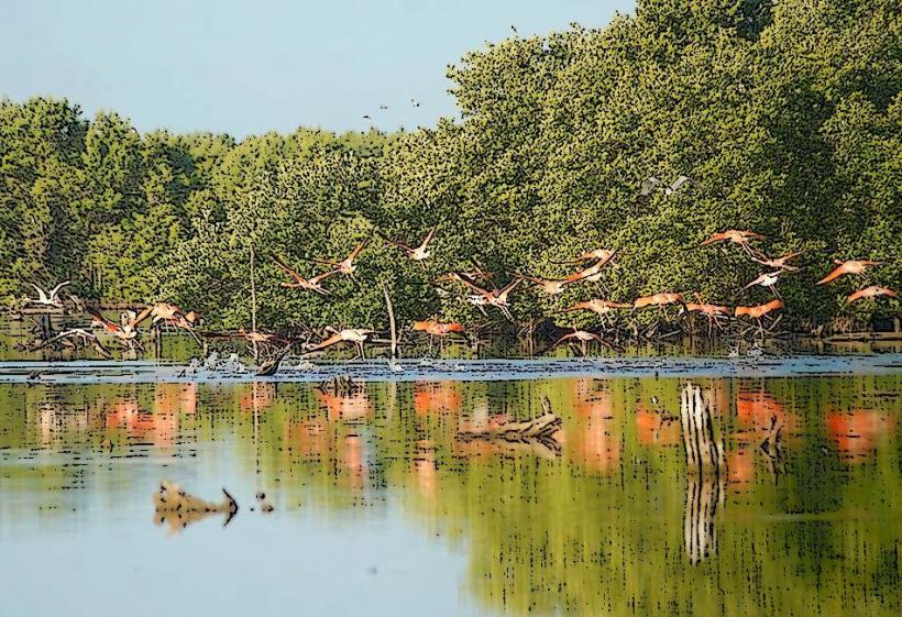 Parque Nacional Caguanes