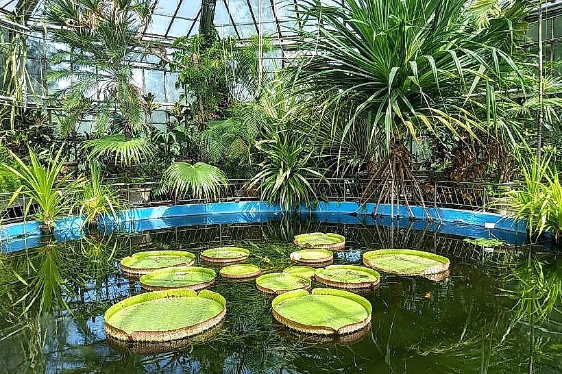 Alexandru Borza Botanical Garden