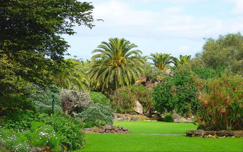 Jardín Botánico Viera y Clavijo