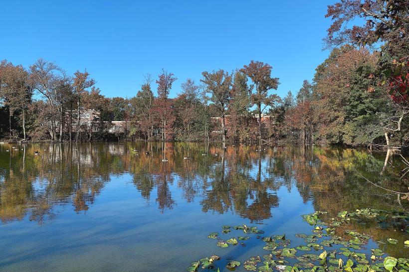 Oak Tree Pond Park