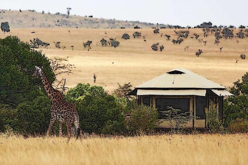 Olare Orok Conservancy