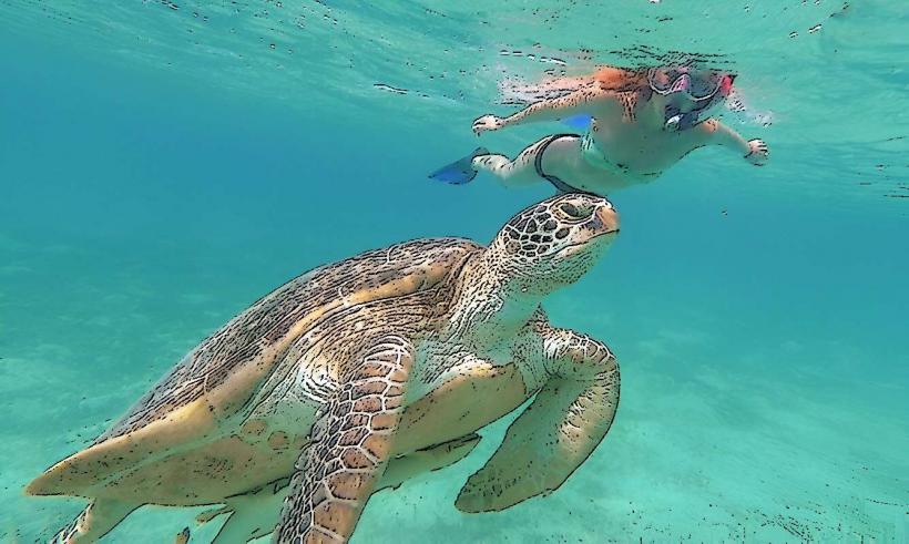 Green Turtle Cay