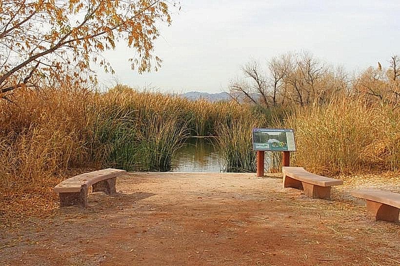Wetlands Park
