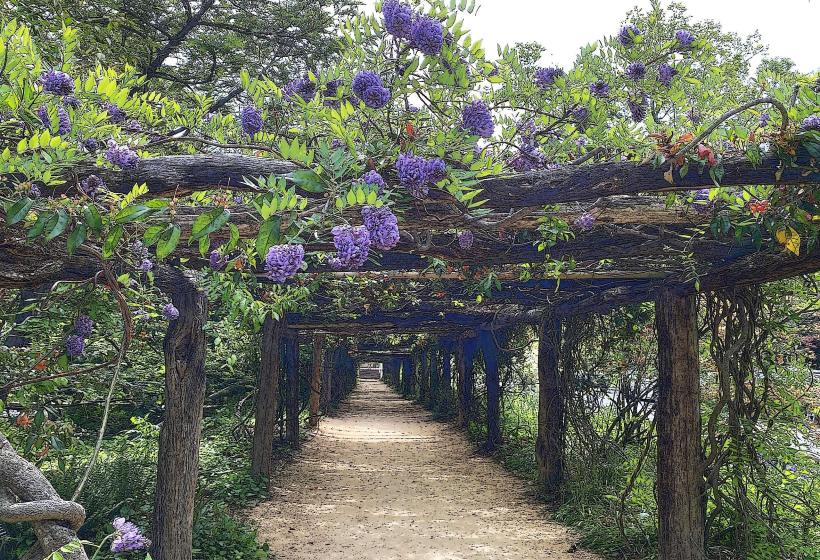 Coker Arboretum